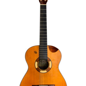 Guitarra clásica profesional